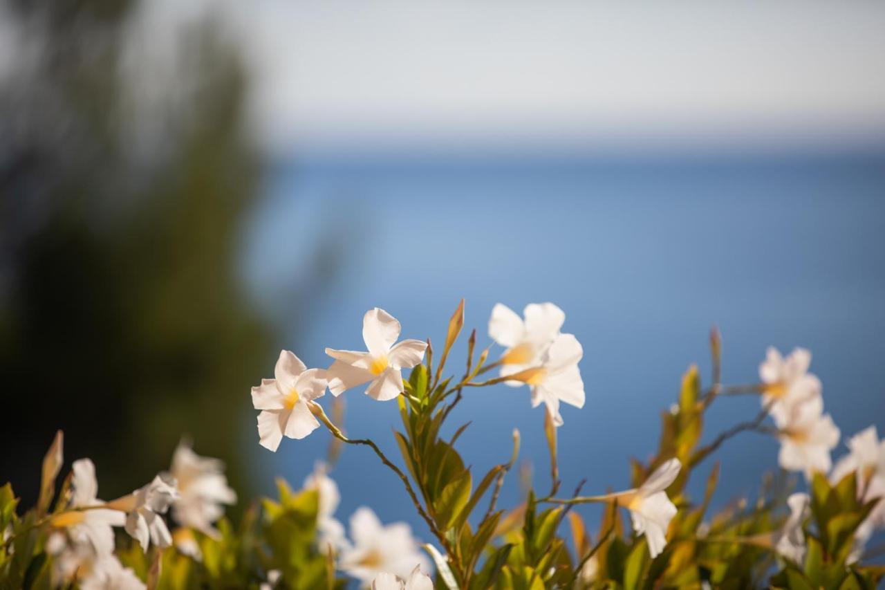 La Sterlizia Di Santa Croce Resort Alassio