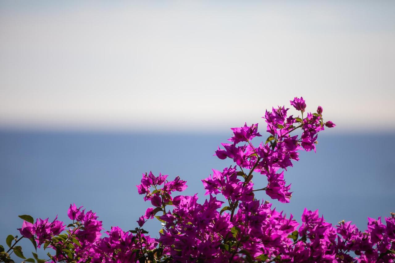 La Sterlizia Di Santa Croce Resort