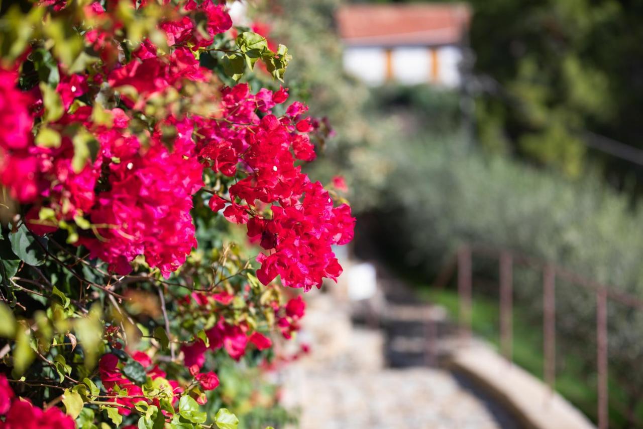 La Sterlizia Di Santa Croce Resort Alassio