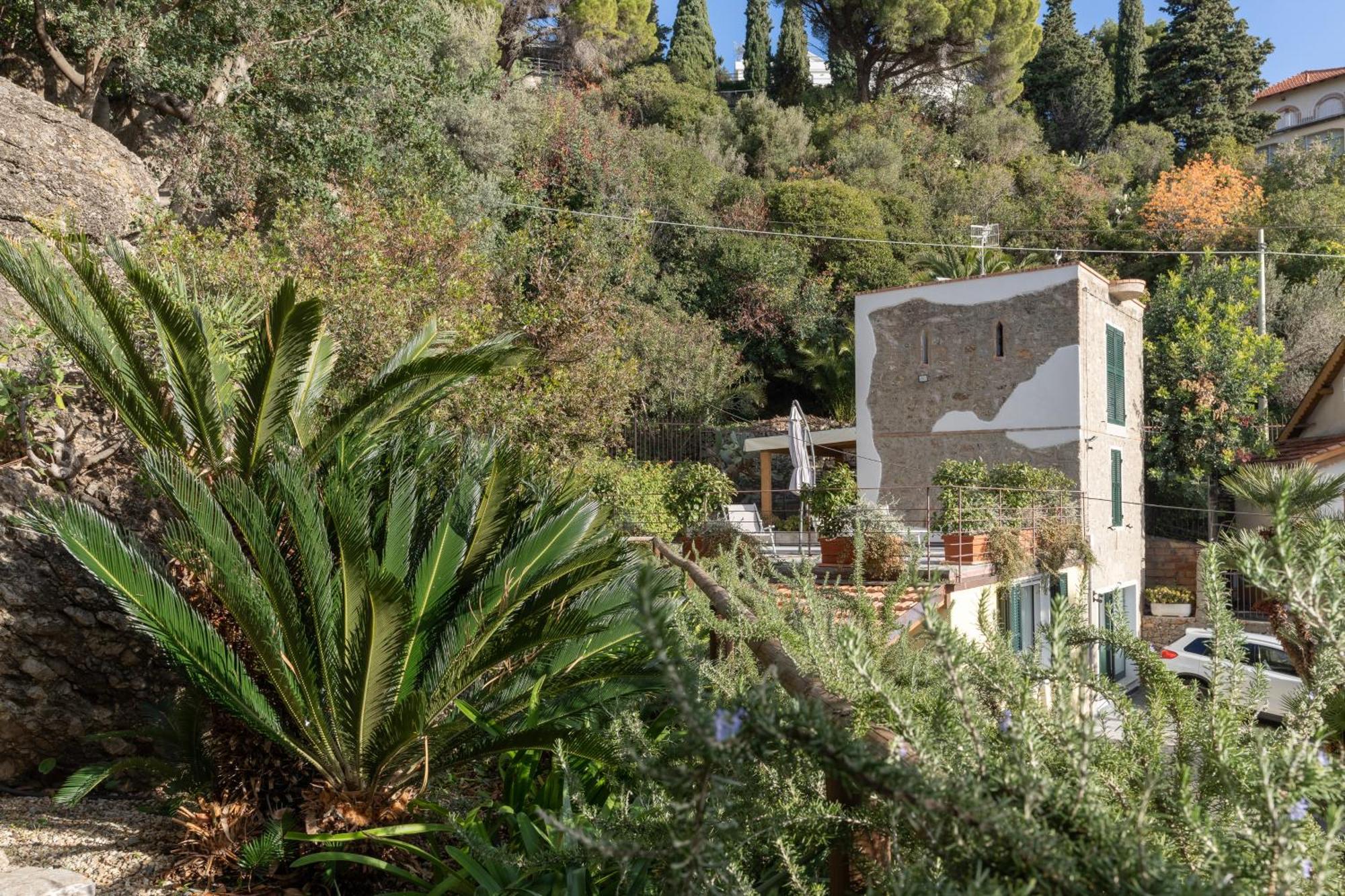 La Sterlizia Di Santa Croce Alassio